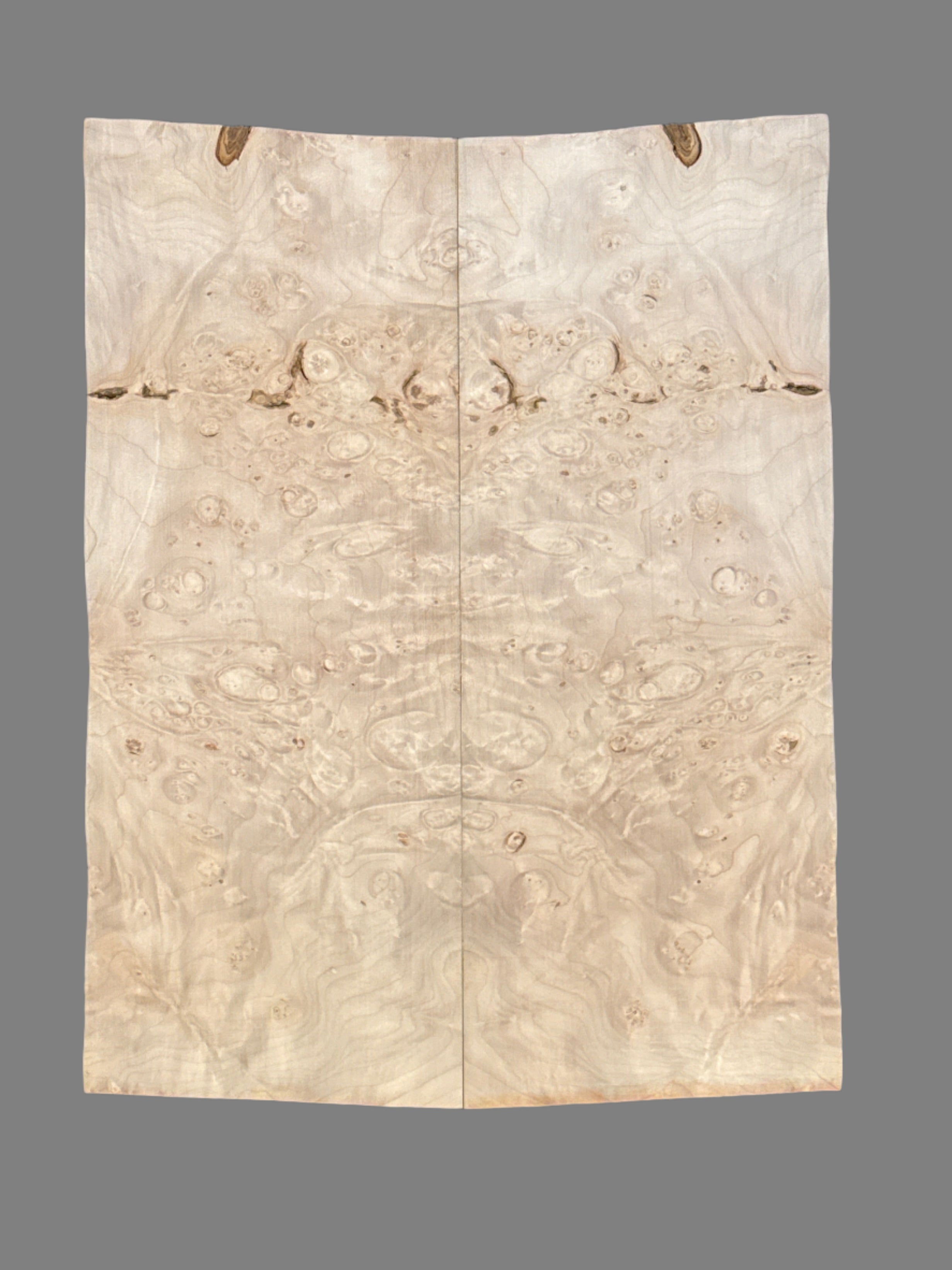 Burl Maple Electric Guitar Laminate Top 01