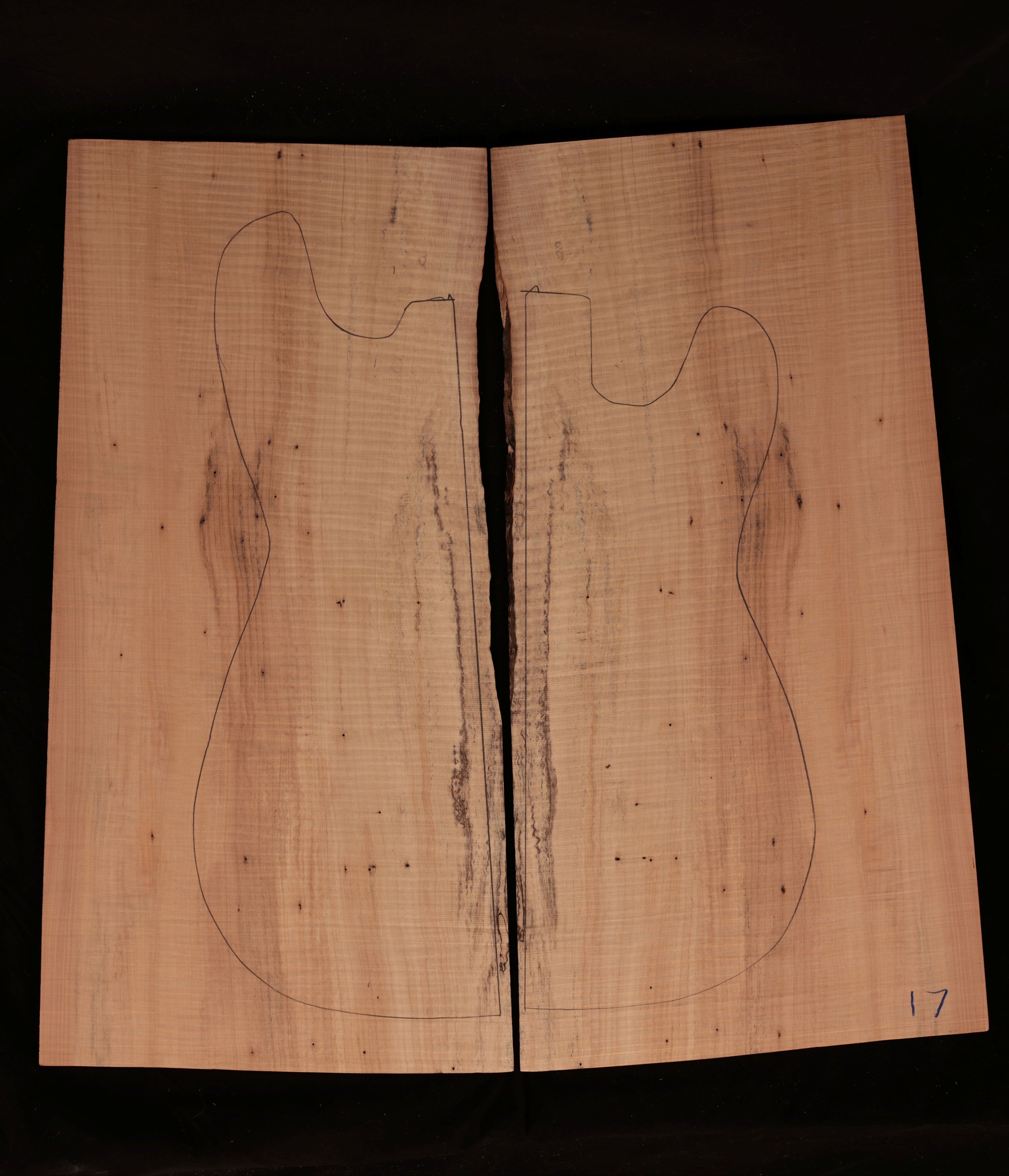 Curly Spalted Tochi Electric Guitar Drop Top 01