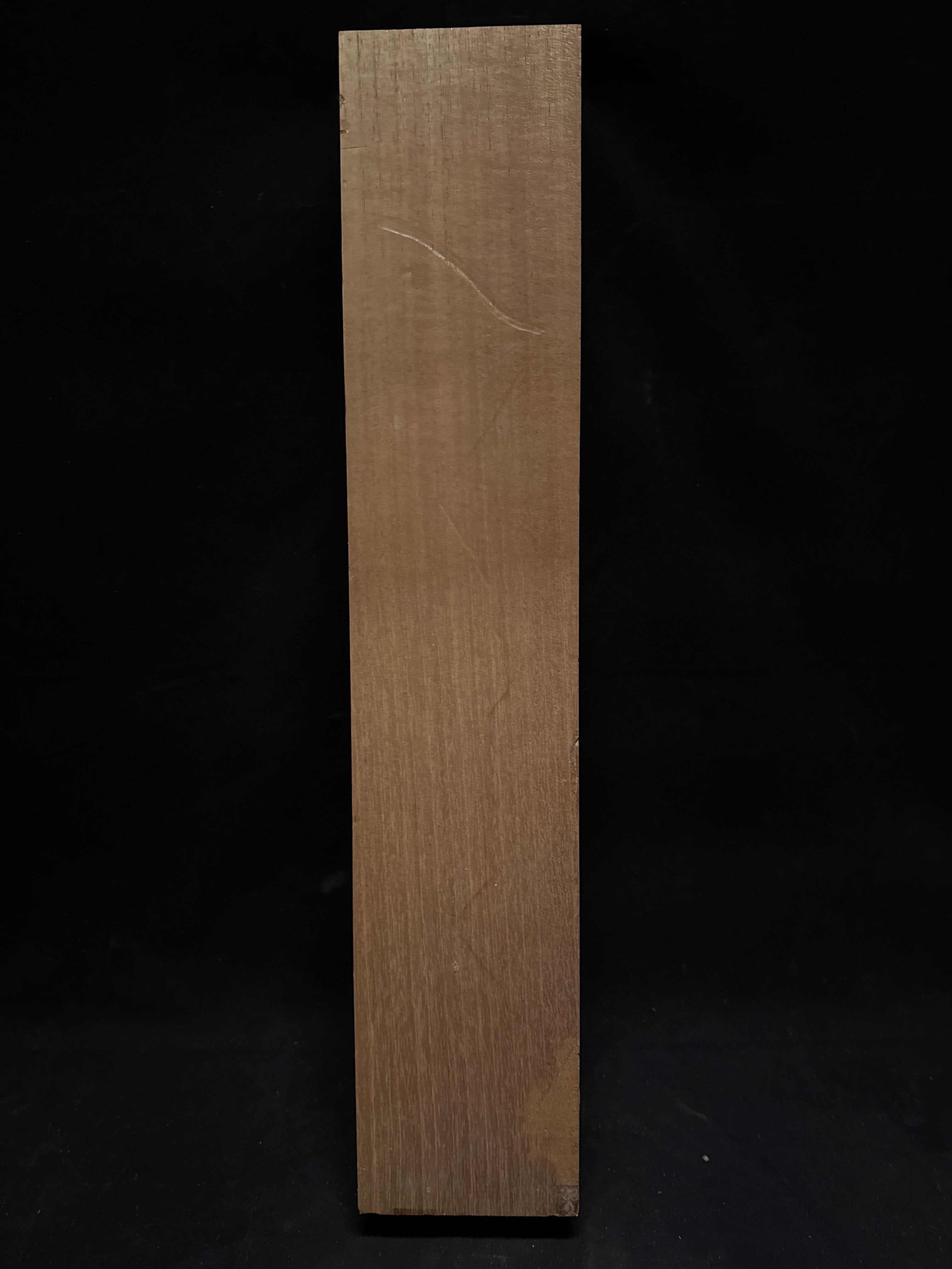 Mahogany Electric Guitar Neck Blank 03