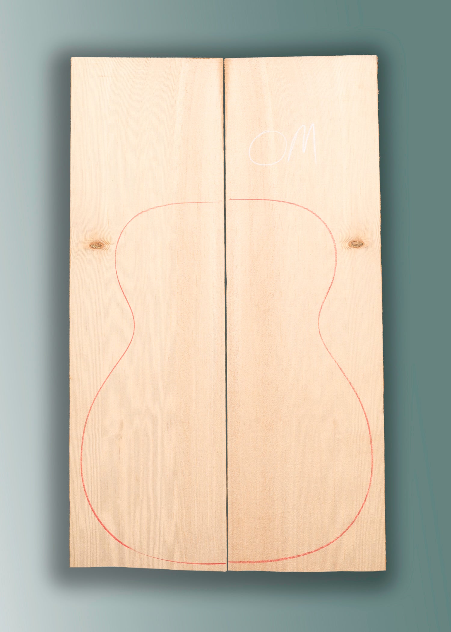 Euphonon Sitka Spruce Acoustic Guitar Top 13