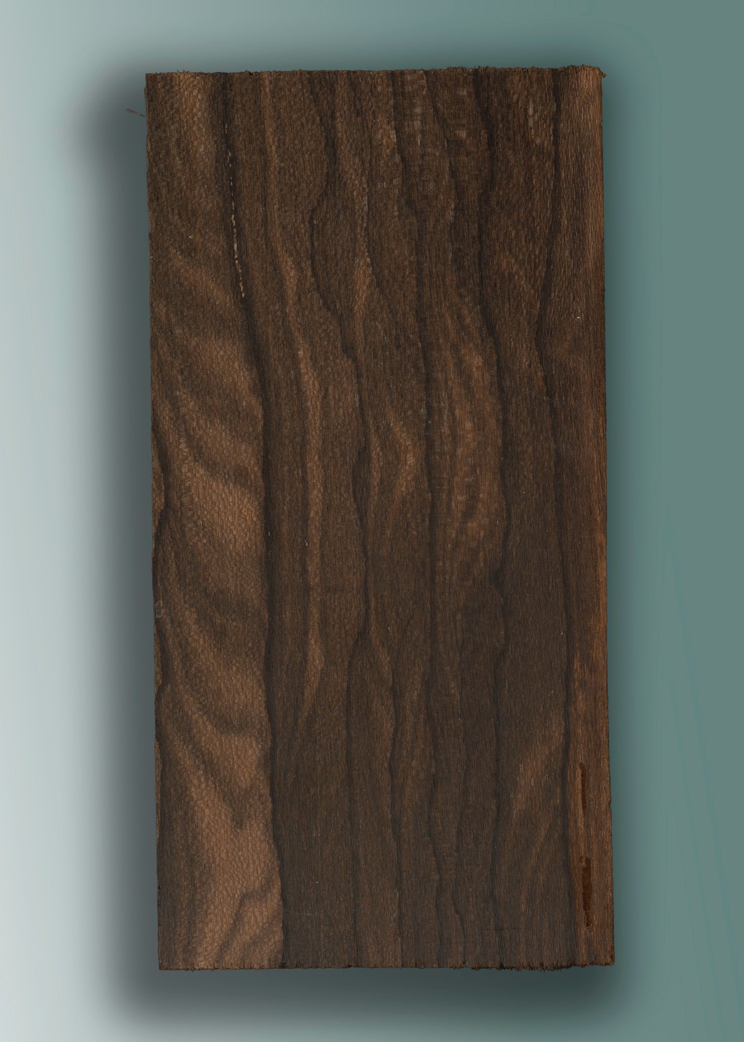 Ziricote Headplate 06