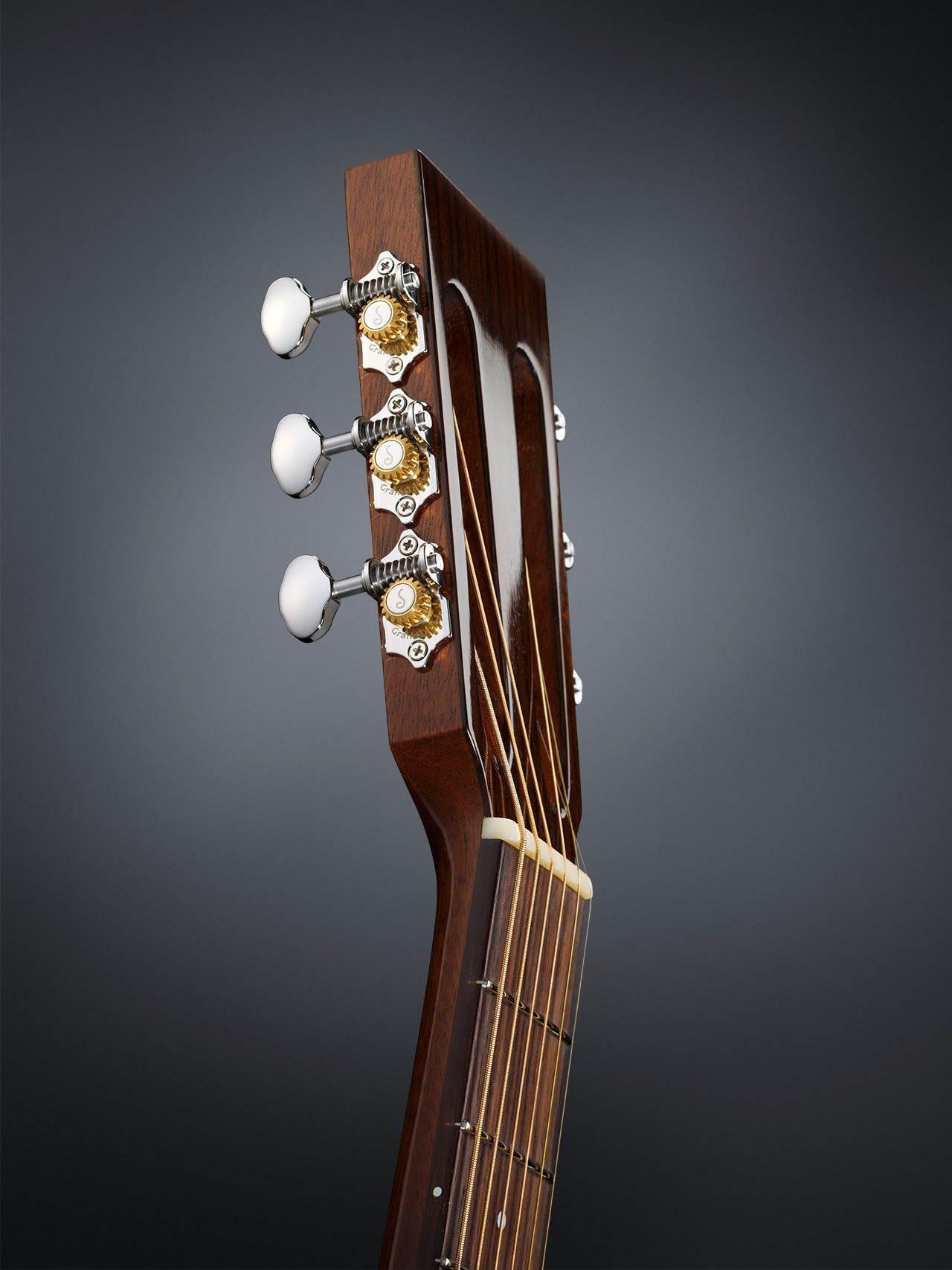 Schaller GrandTune Open Gear Tuning Machines (SLOTTED