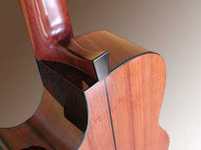 Spanish Cedar/Cedro Neck Blanks