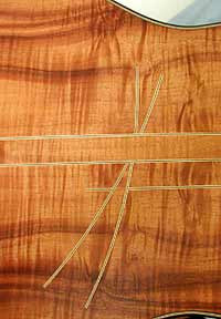 Black Fiber Strip