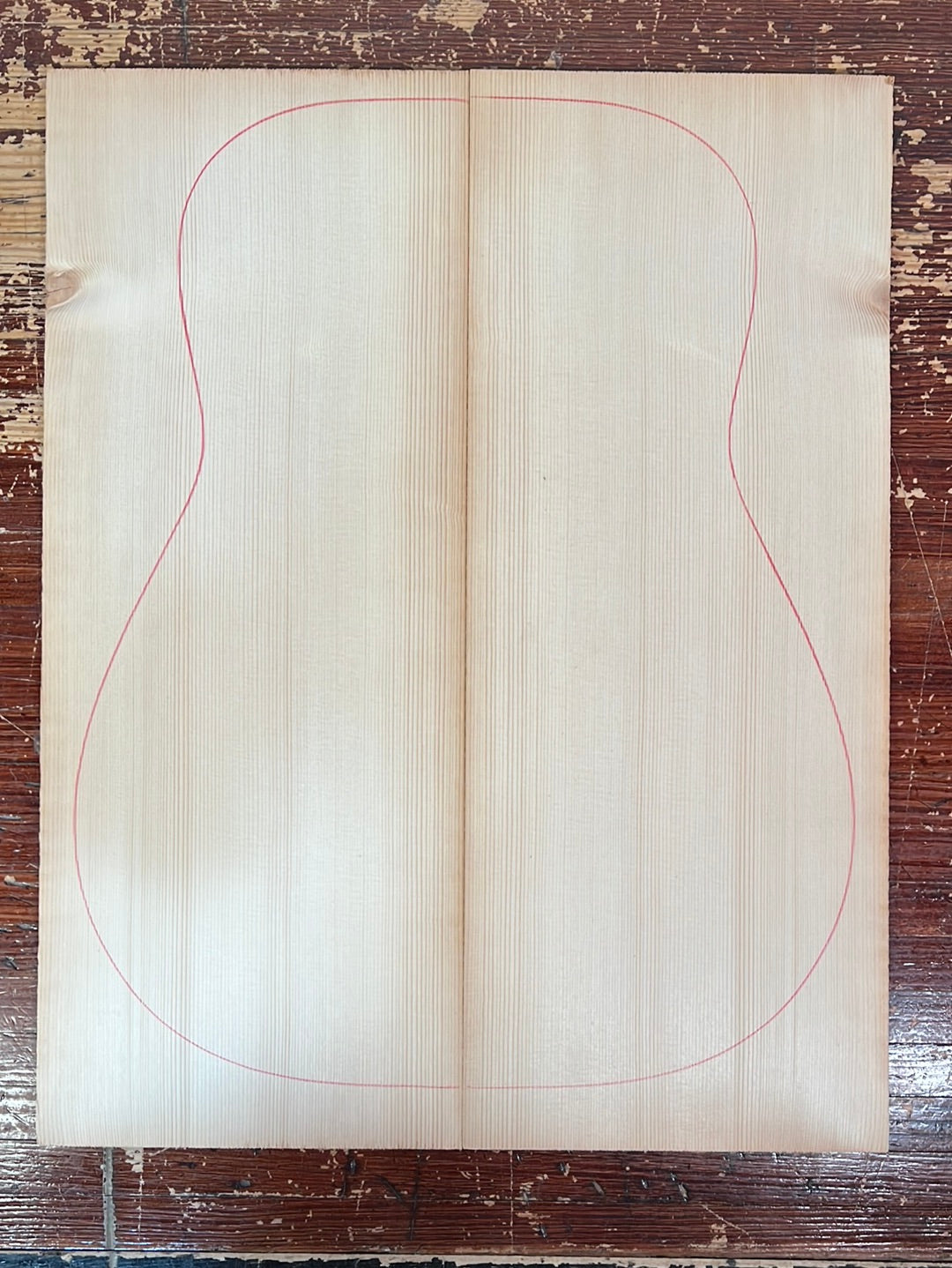 Italian Spruce - Old Stock from Rivolta 2002