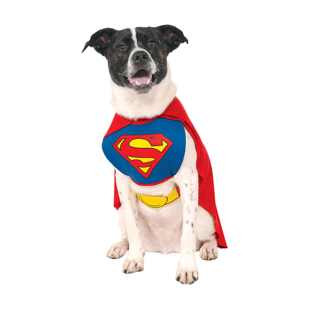 Superman Dog Costume