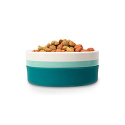 Teal Pet Food Bowl with Kibble