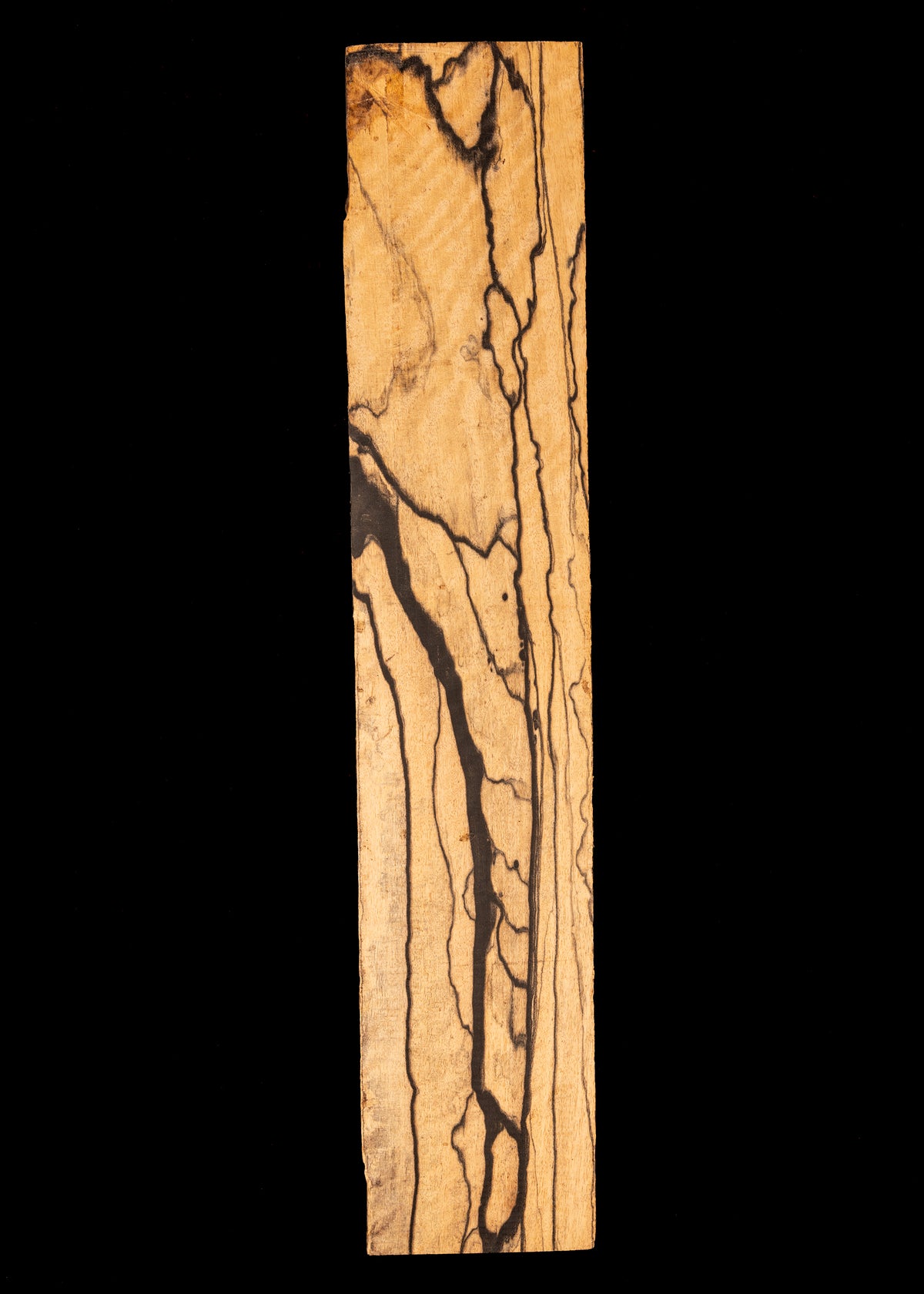 Pale Moon Ebony Acoustic Guitar Oversized Fingerboard 04