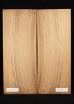 Myrtle Acoustic Guitar Laminate Top 01