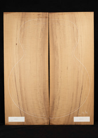 Myrtle Acoustic Guitar Laminate Top 01