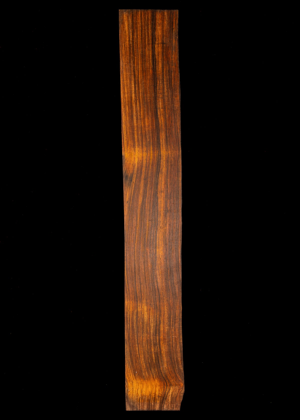 Cocobolo Acoustic Guitar Oversized Fingerboard 20