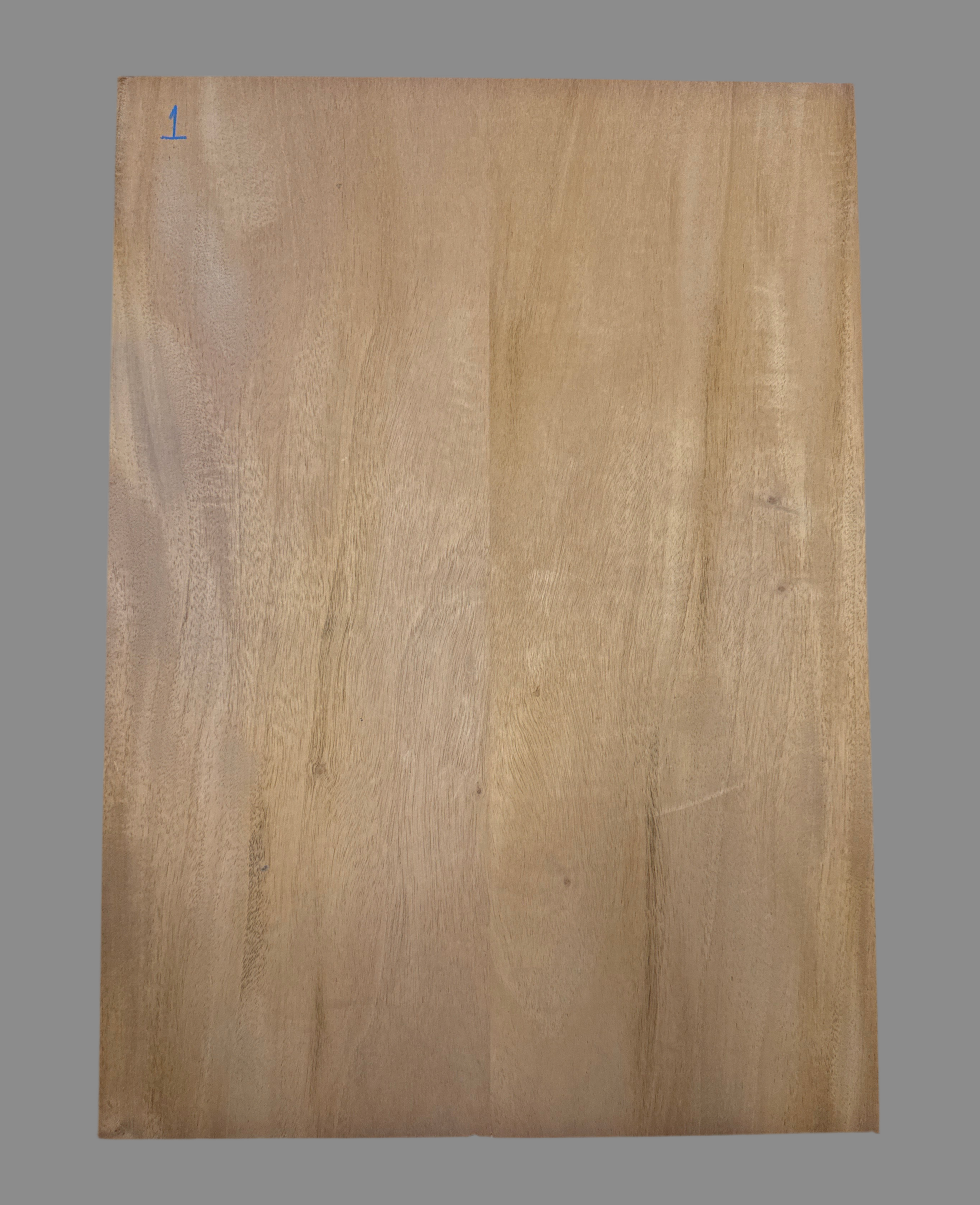 Mahogany 2-Piece Electric Guitar Body Blank 07