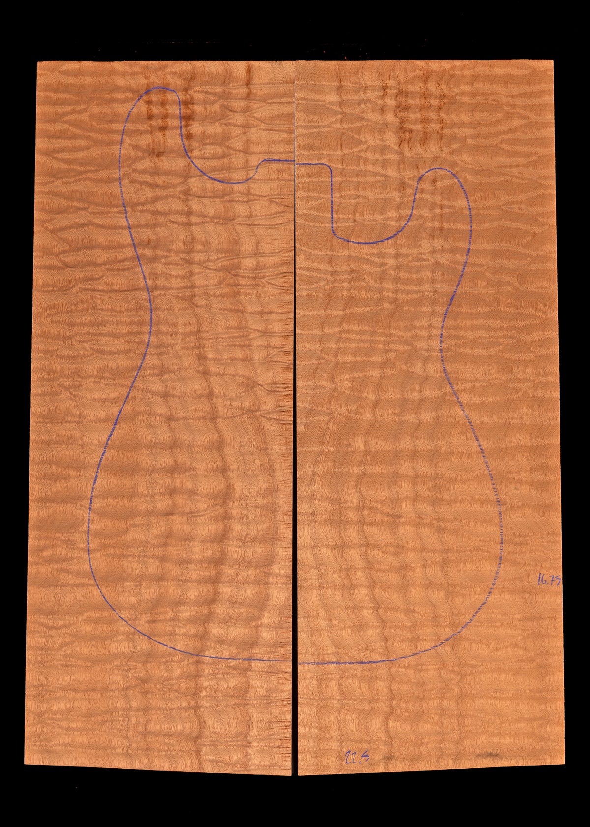 Curly Sapele Bass/Electric Guitar Drop Top 43
