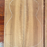 Torrefied Birdseye Maple