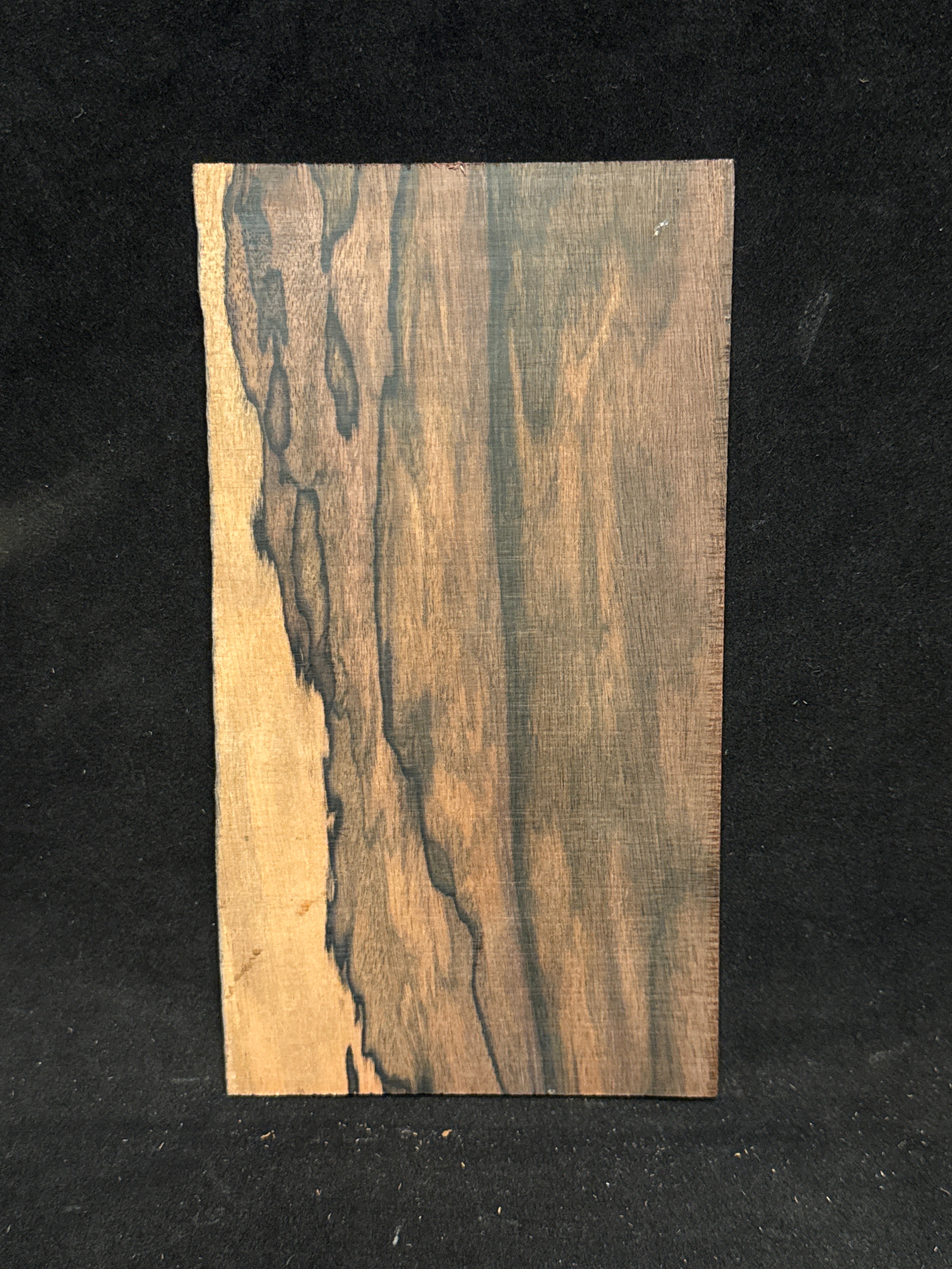 Mun Ebony Headplate 02