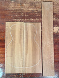 Torrefied Birdseye Maple