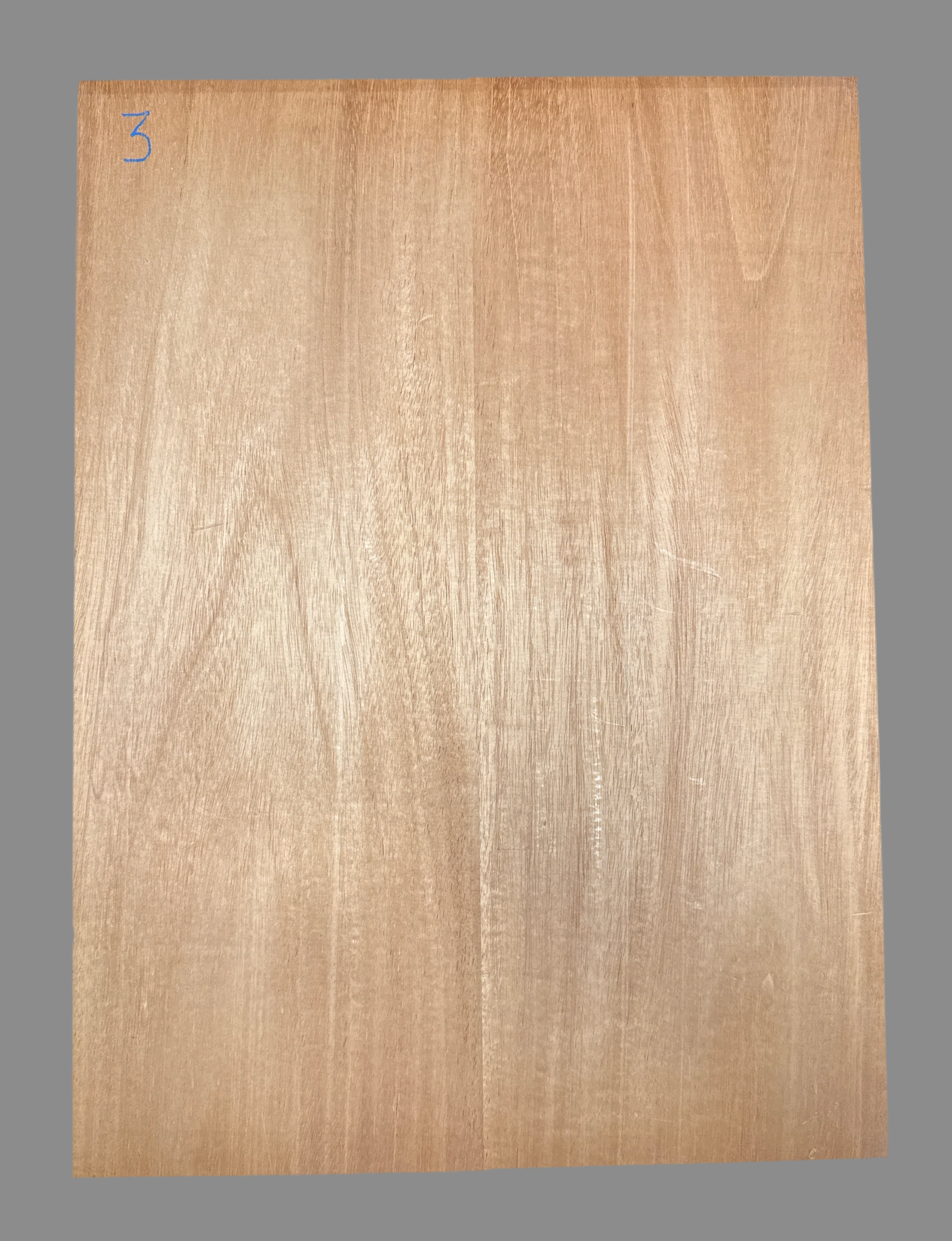 Mahogany 2-Piece Electric Guitar Body Blank 05