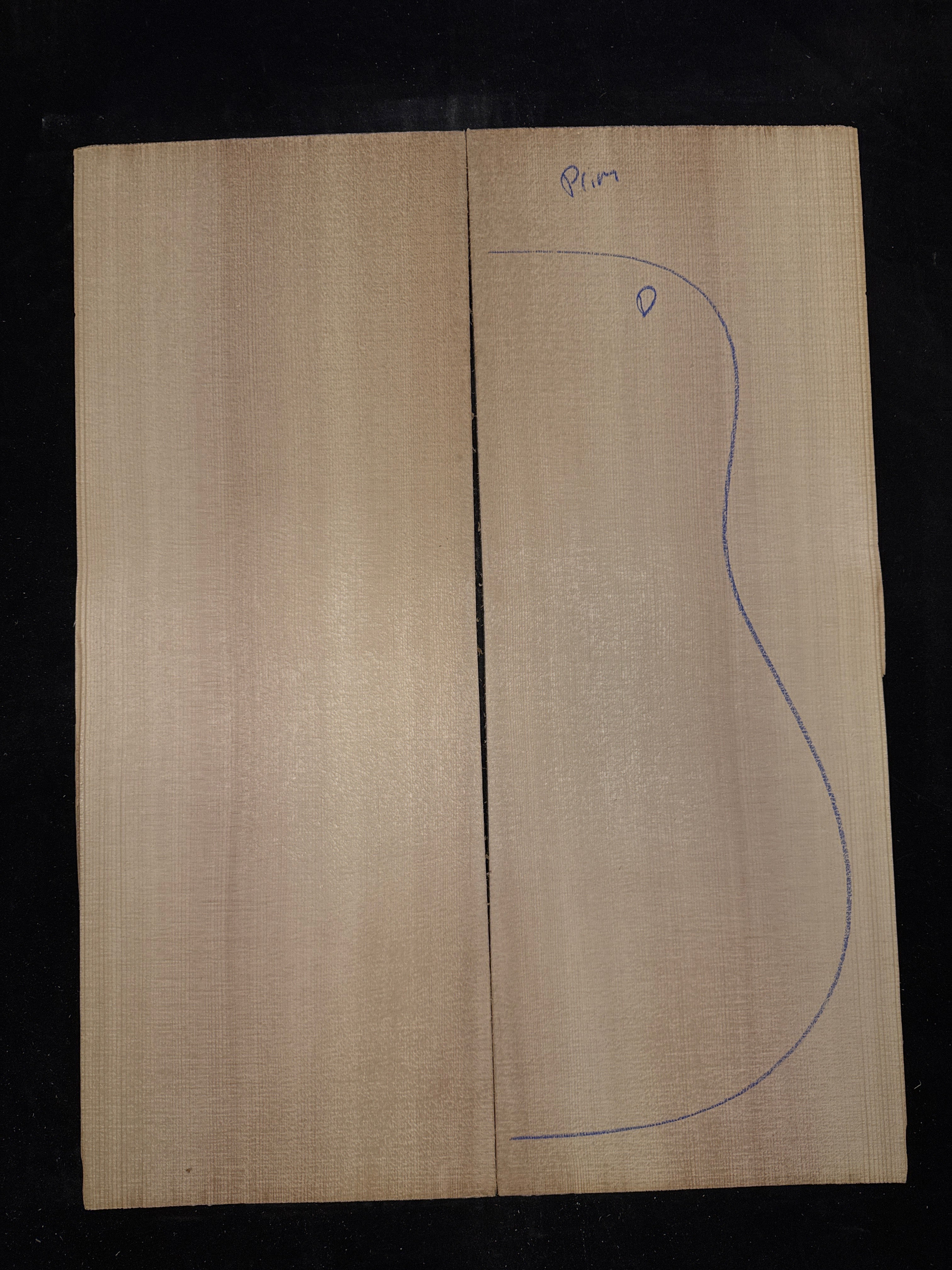 Sinker Salmon Trap Sitka Spruce Acoustic Guitar Top 18