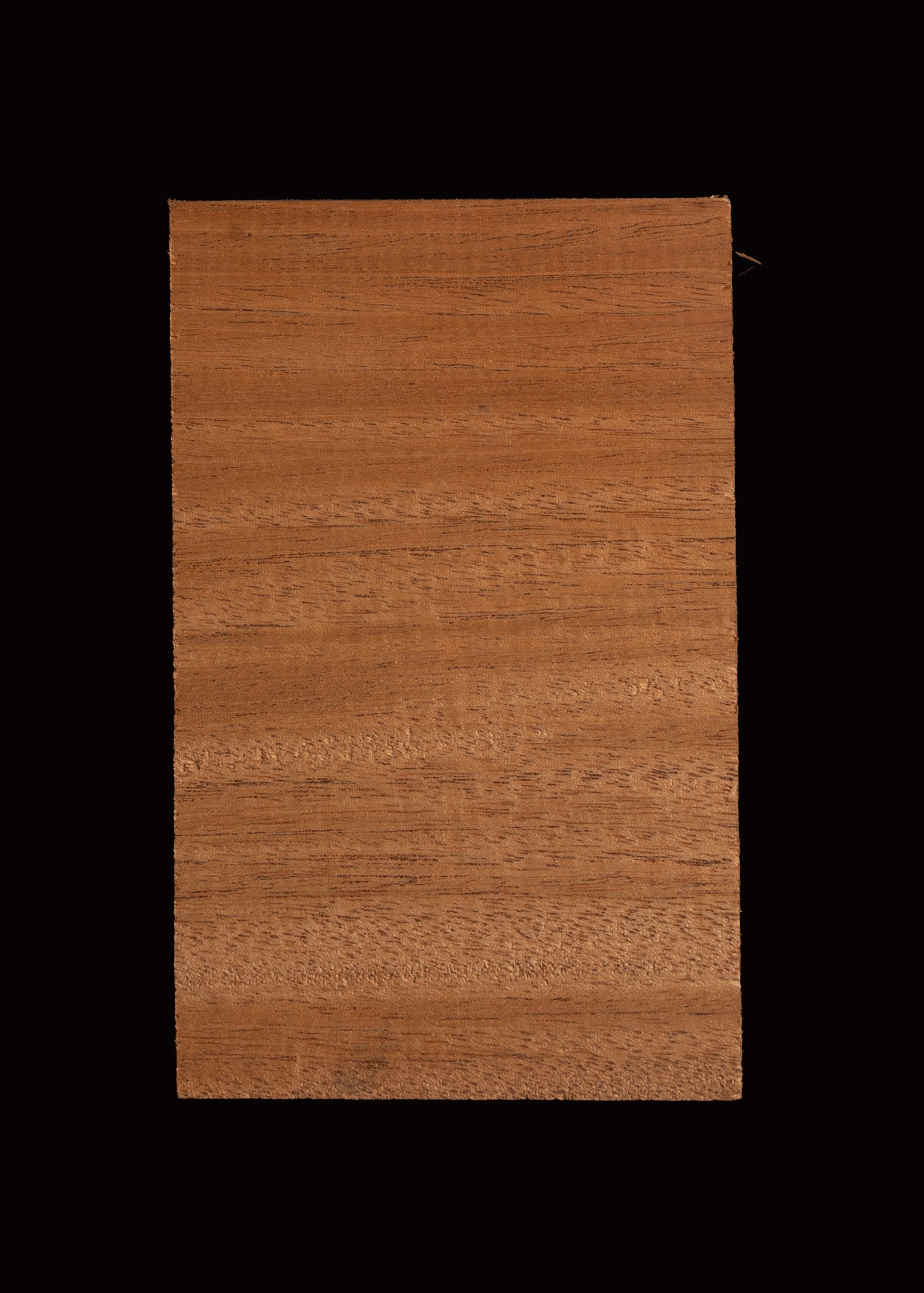 Acoustic Guitar Tail Block Blanks