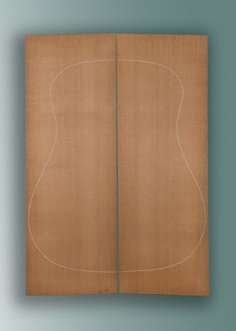 Cedar Acoustic Guitar Top 01