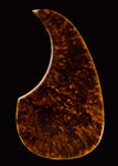 W.J. Watson Pickguard D2 Brown Tortoise 14