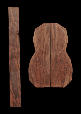 Bastogne Walnut