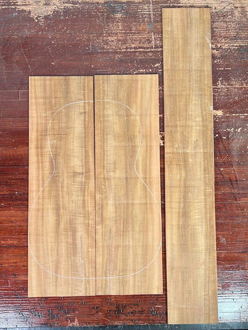 Acacia Wood