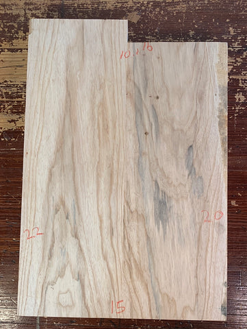 Swamp Ash Body Blank, 2-piece